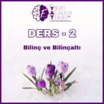 Bilinçaltı Ve Bilinç